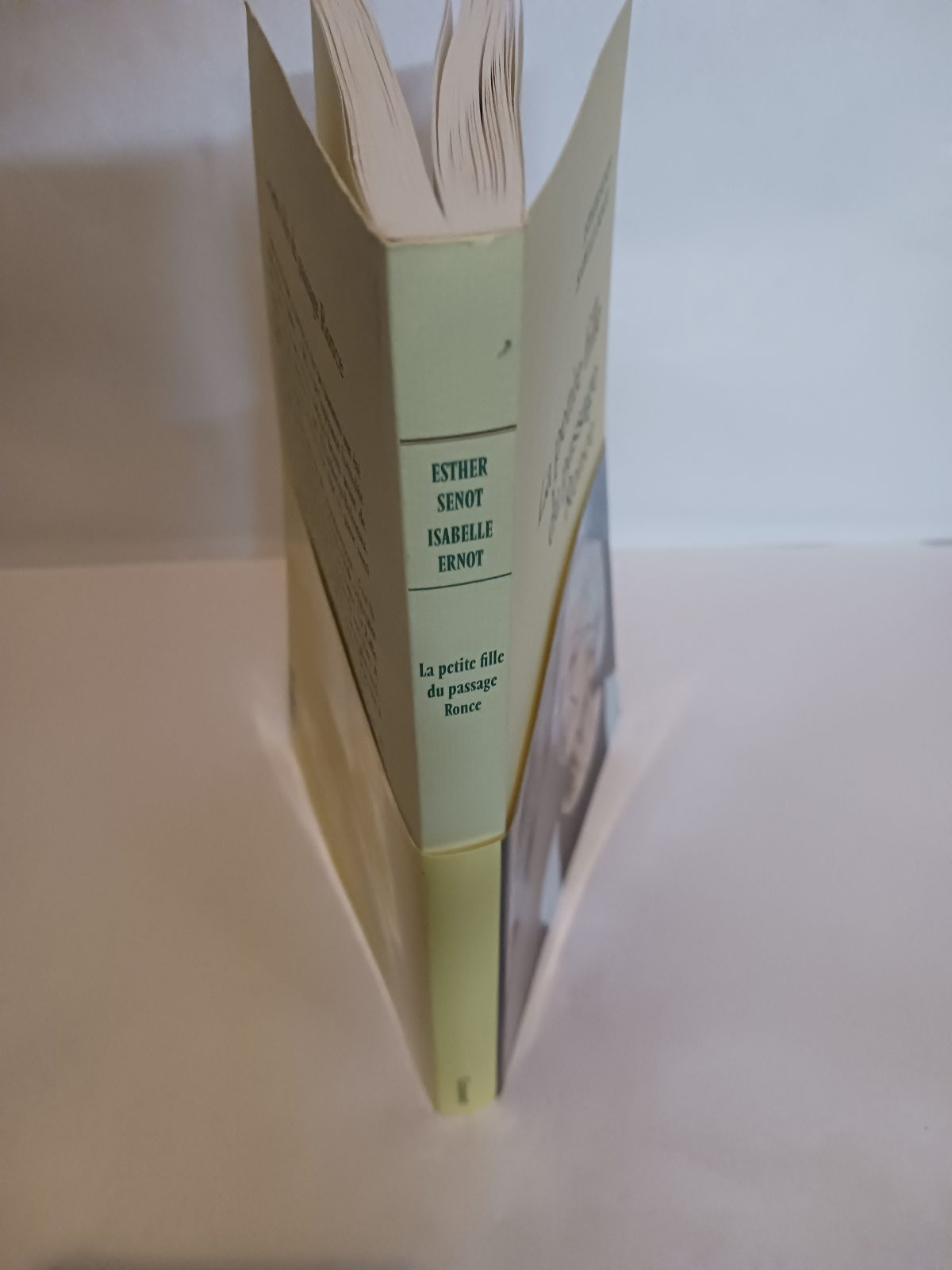 La petite fille du passage Ronce – Image 3