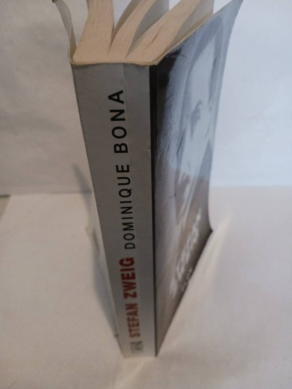 Stefan Zweig, l'ami blessé – Image 5