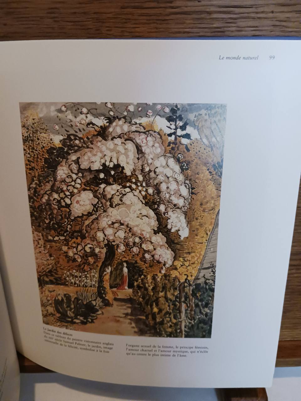 Le langage secret des symboles – Image 3