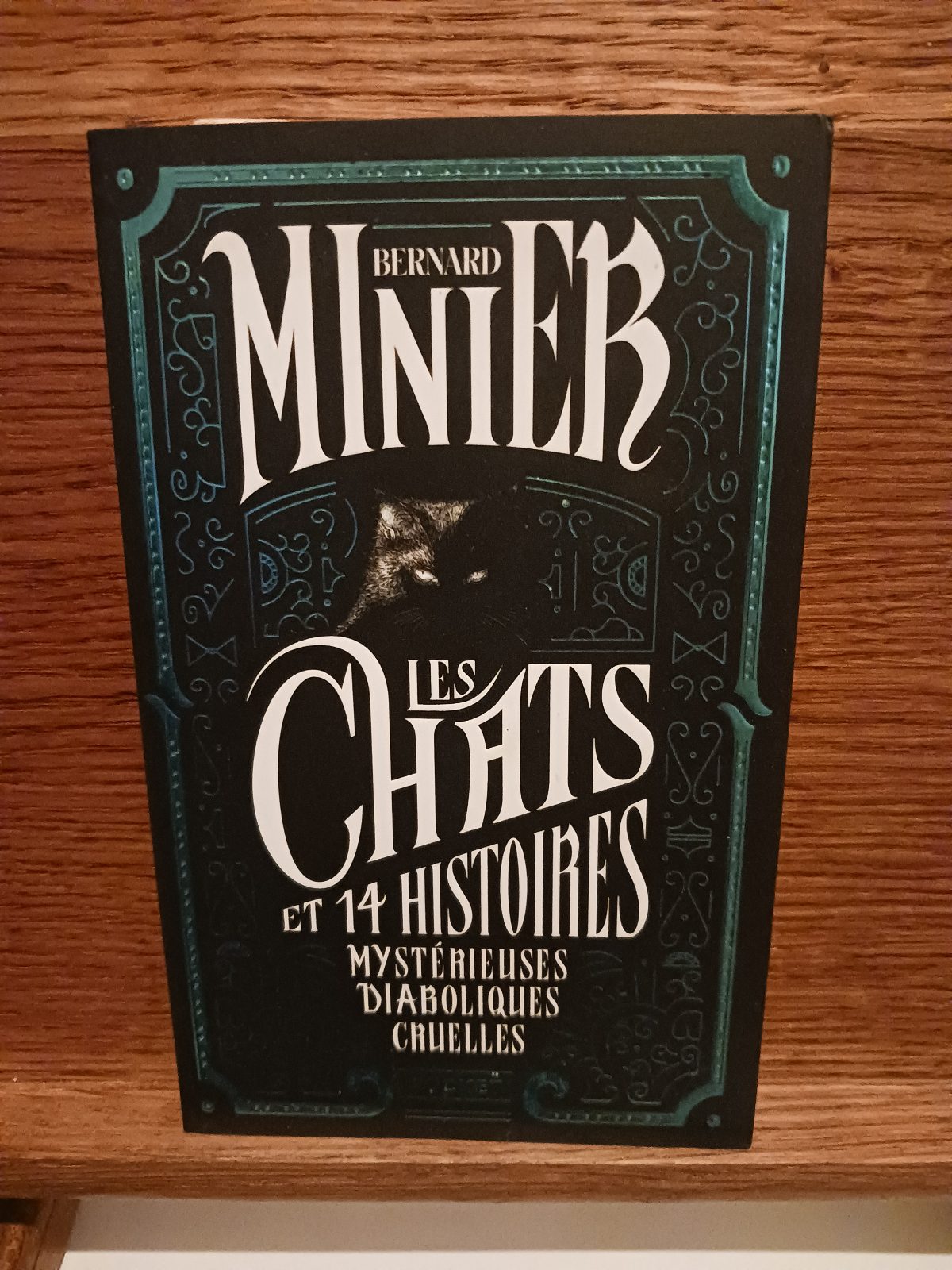 Les chats : et 14 histoires mystérieuses, diaboliques, cruelles