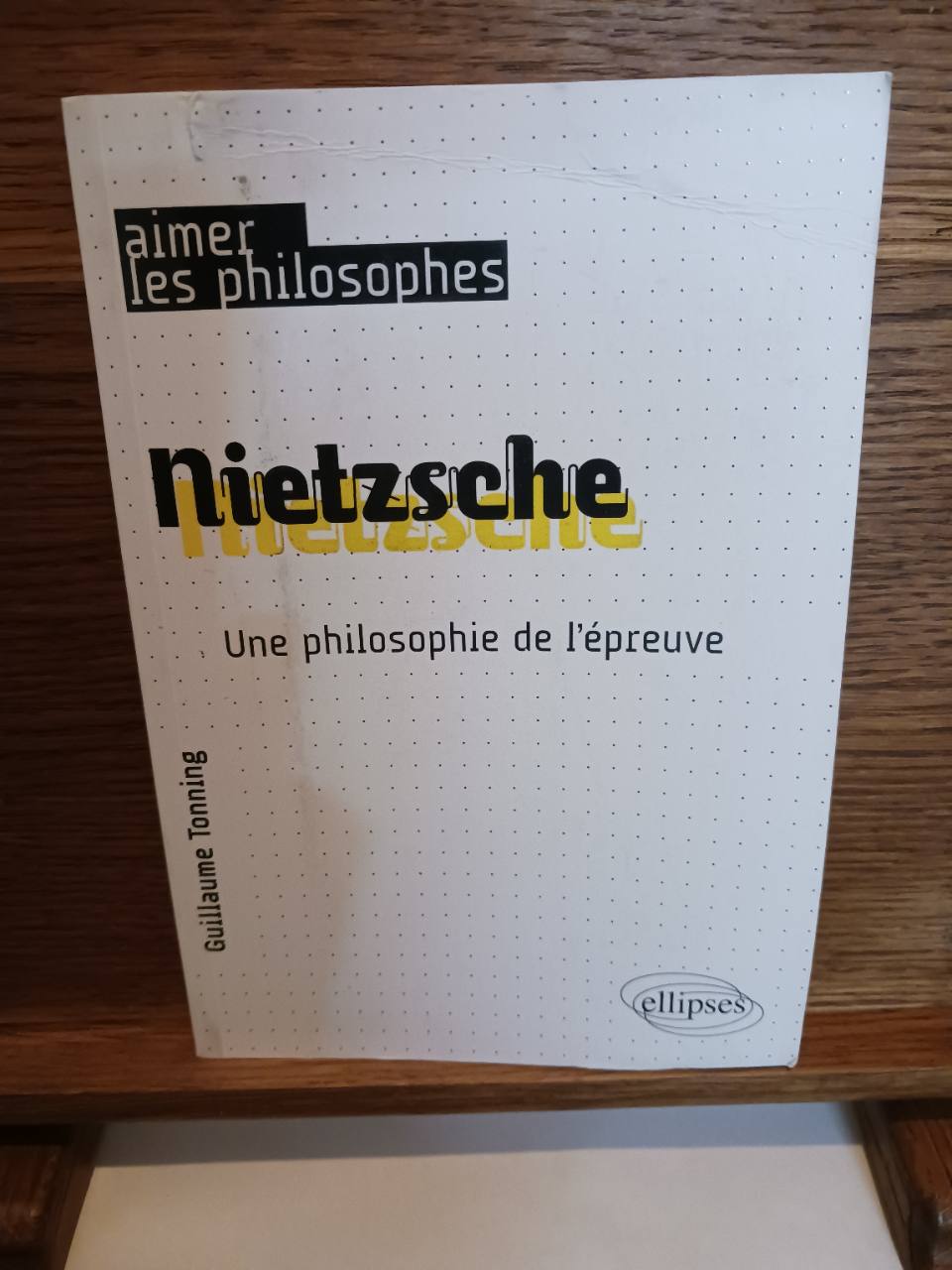 Nietzsche : une philosophie de l'épreuve