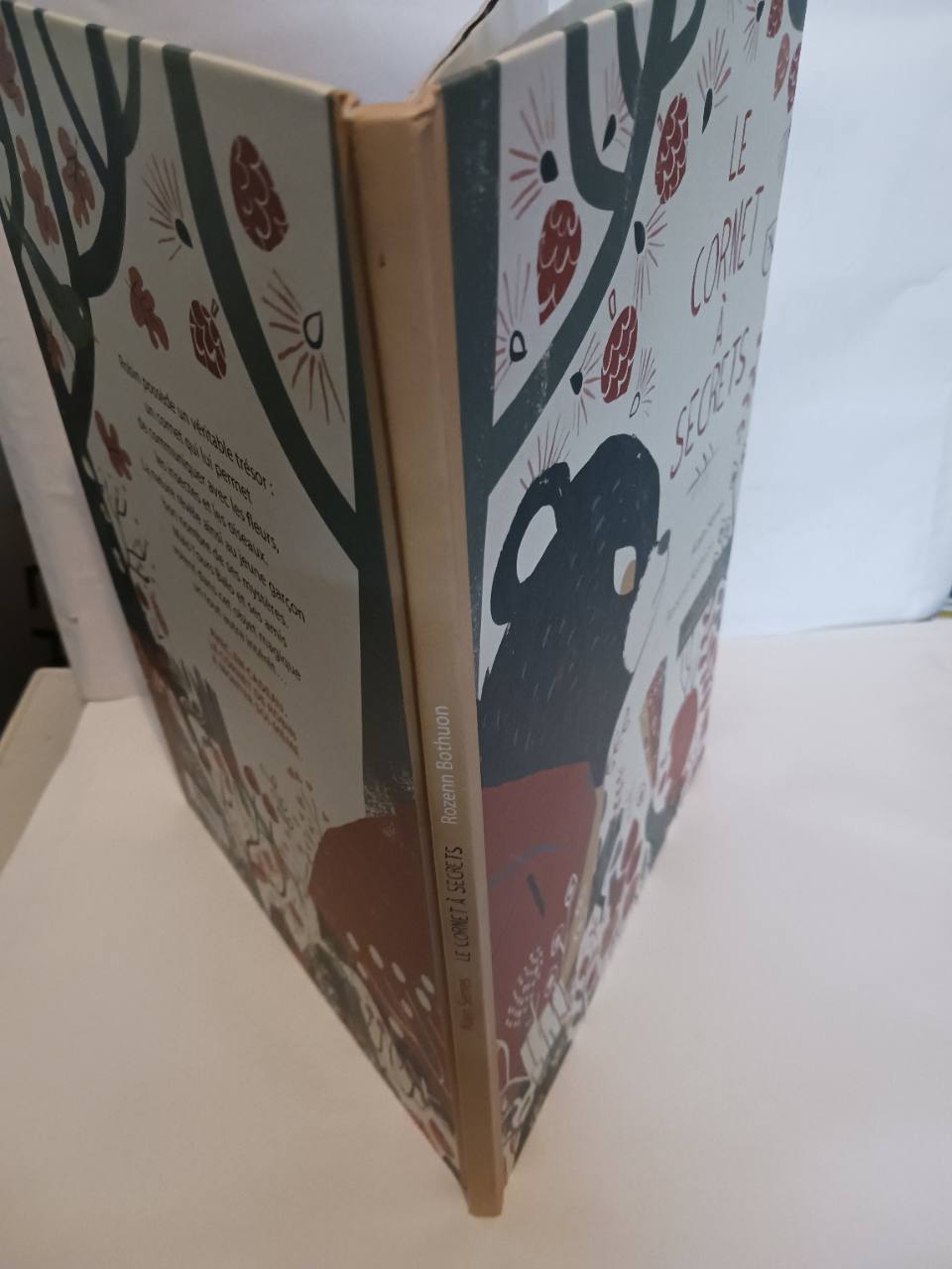 Le cornet à secrets – Image 5