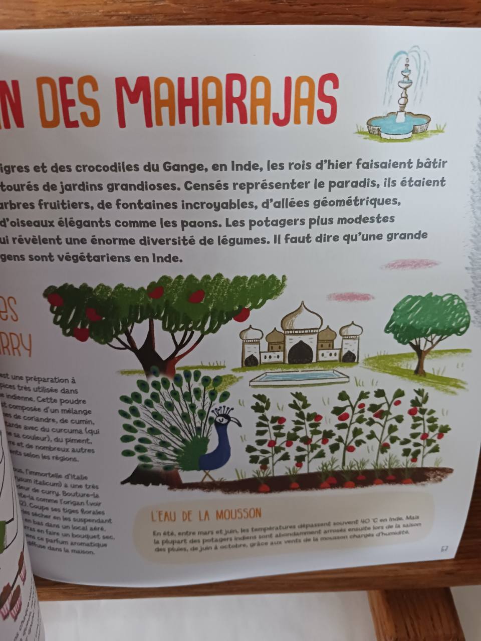 Les aventuriers au jardin bio explorent le monde – Image 3