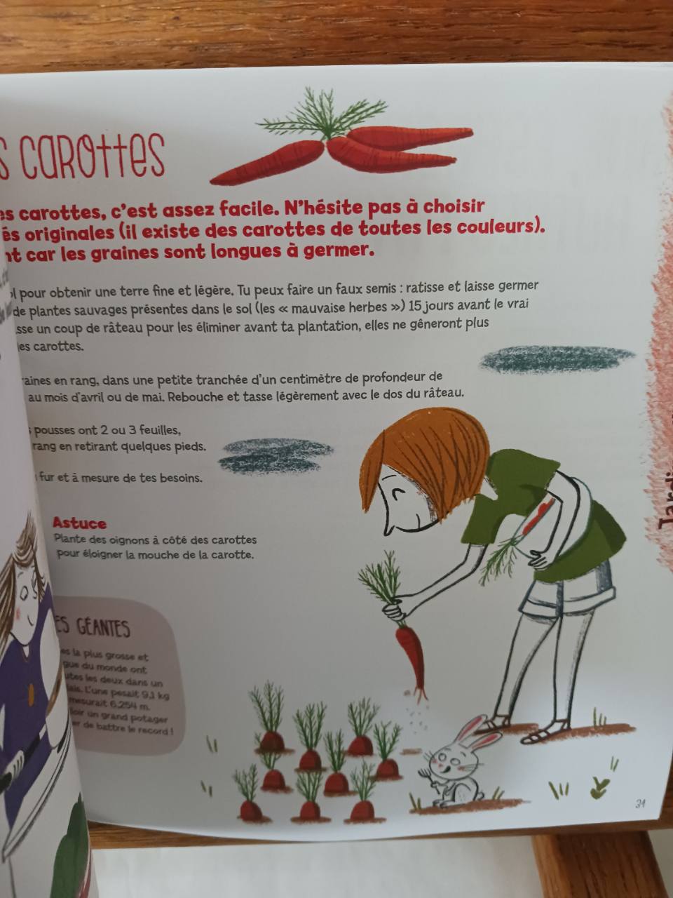 Les aventuriers au jardin bio explorent le monde – Image 4