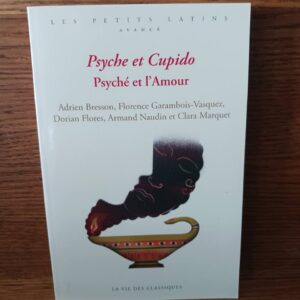 Psyché et l'Amour