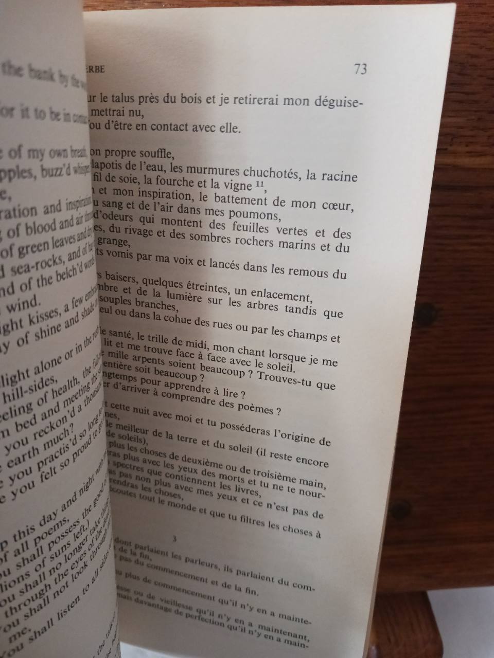 Feuilles d'herbe – Image 3