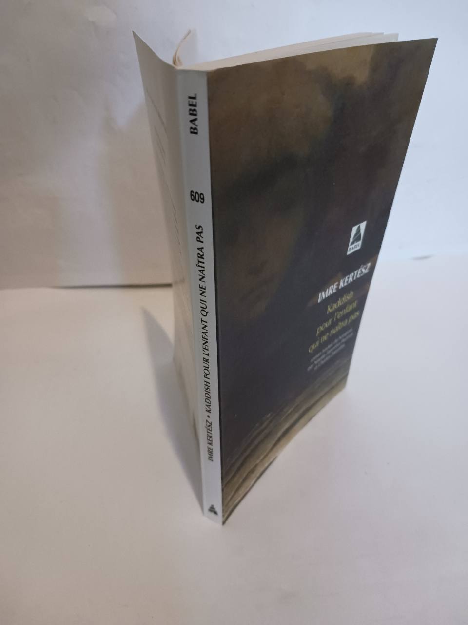 Kaddish pour l'enfant qui ne naîtra pas – Image 3