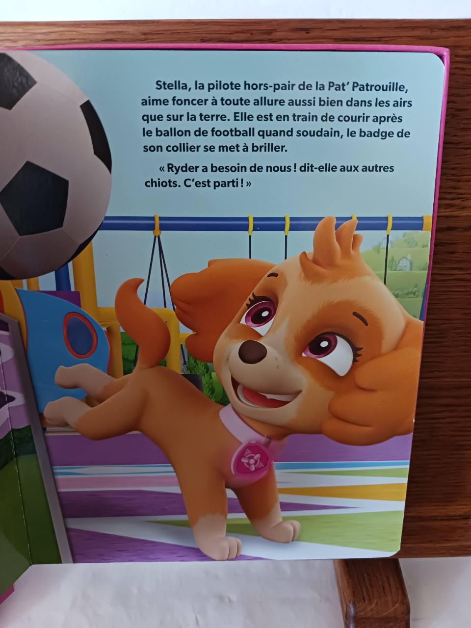 Nickelodeon Pat Patrouille Filles Comptines et Figurines – Image 3