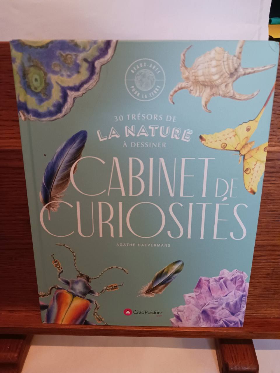 Cabinet de curiosités
