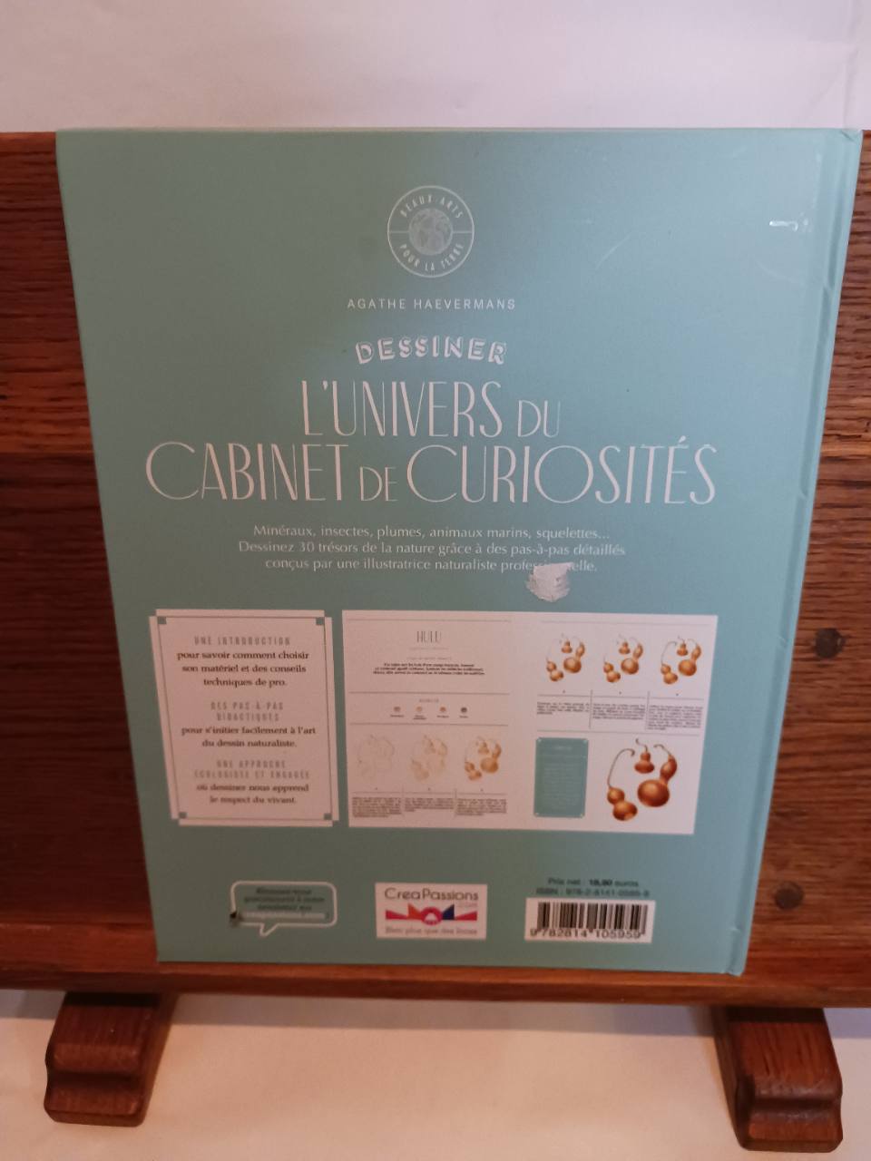 Cabinet de curiosités – Image 2