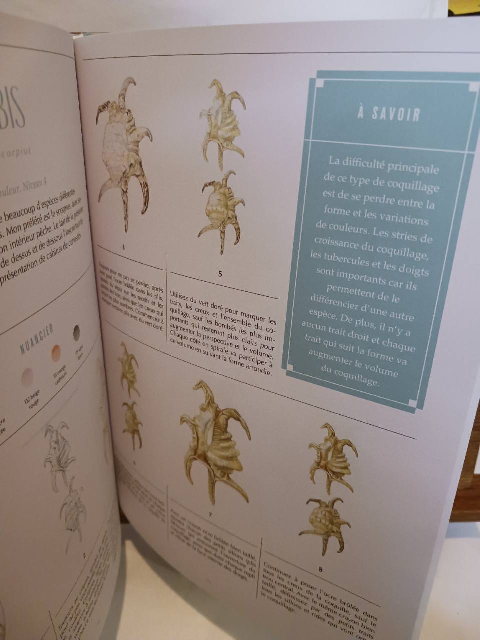 Cabinet de curiosités – Image 3
