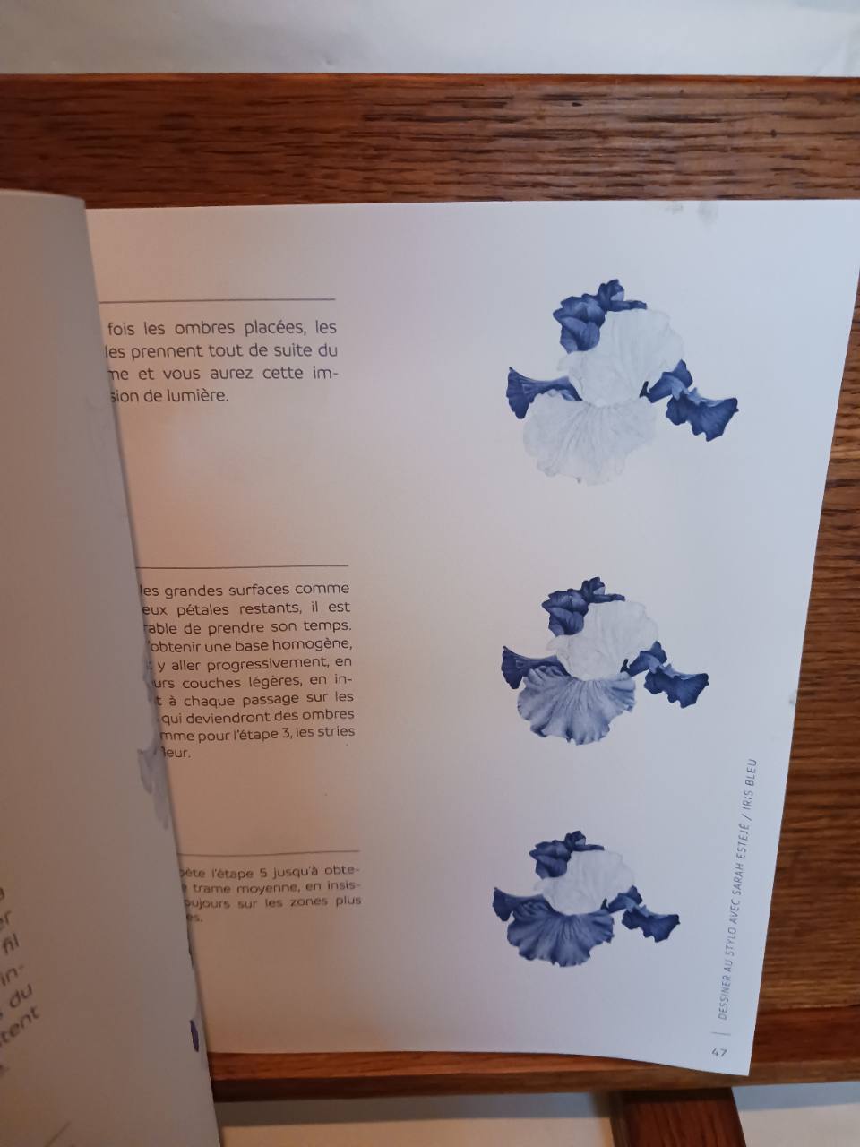 Dessiner au stylo bille BIC avec Sarah Estejé – Image 4