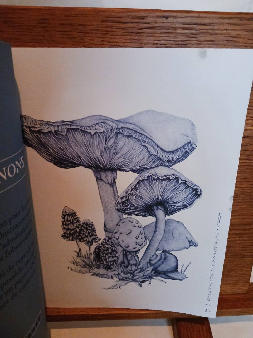 Dessiner au stylo bille BIC avec Sarah Estejé – Image 5