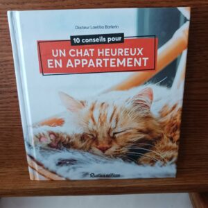 10 conseils pour un chat heureux en appartement