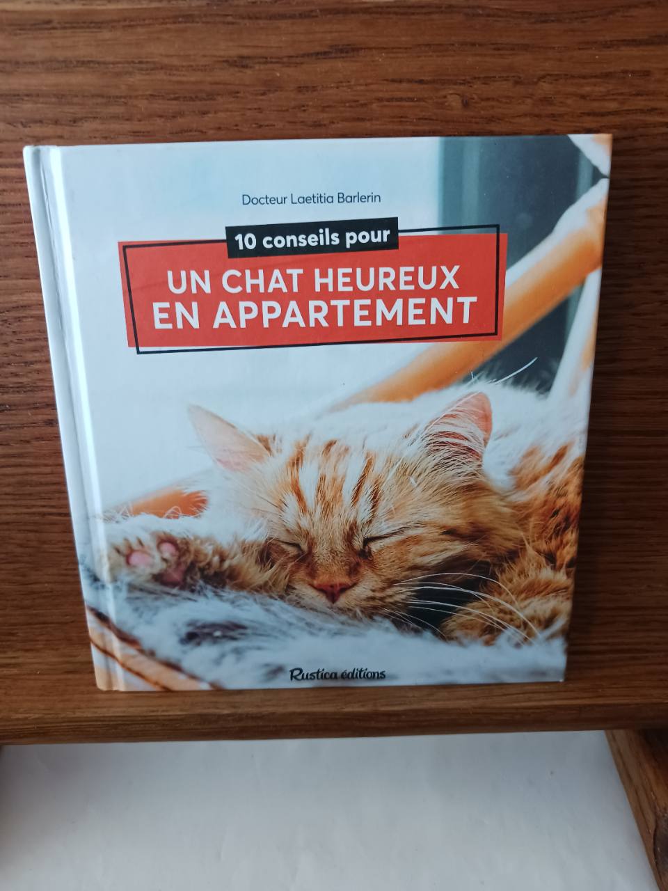 10 conseils pour un chat heureux en appartement