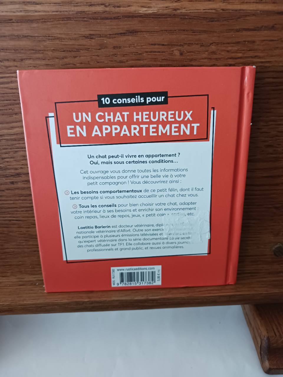 10 conseils pour un chat heureux en appartement – Image 2