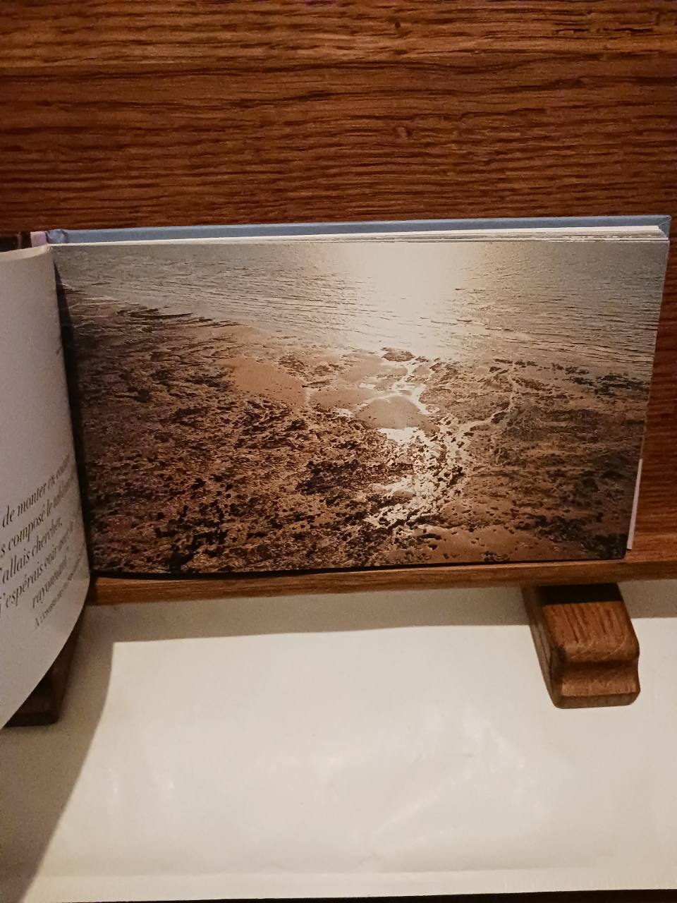 Les Promenades de Proust en Normandie – Image 4
