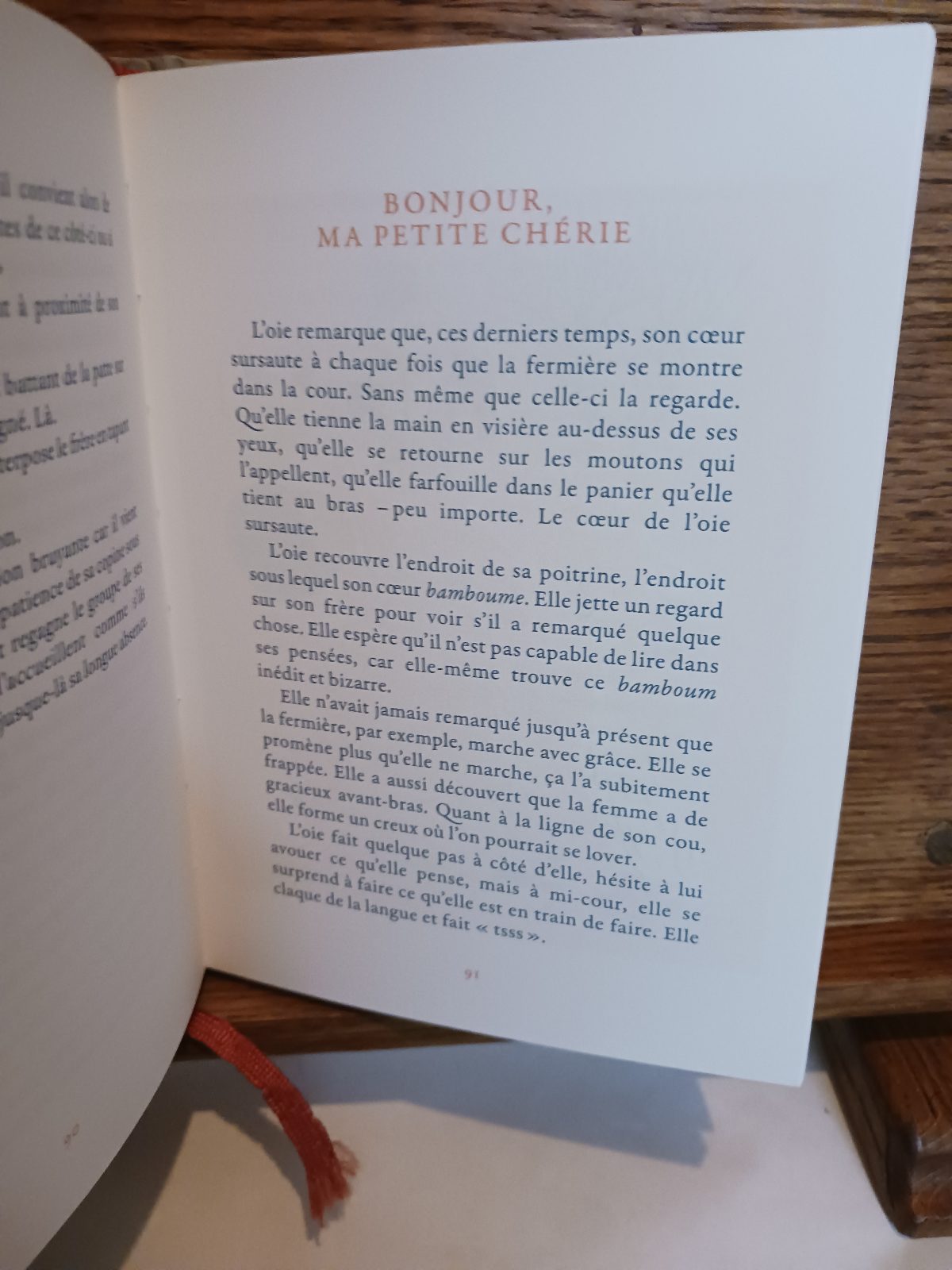 L'oie et son frère – Image 3
