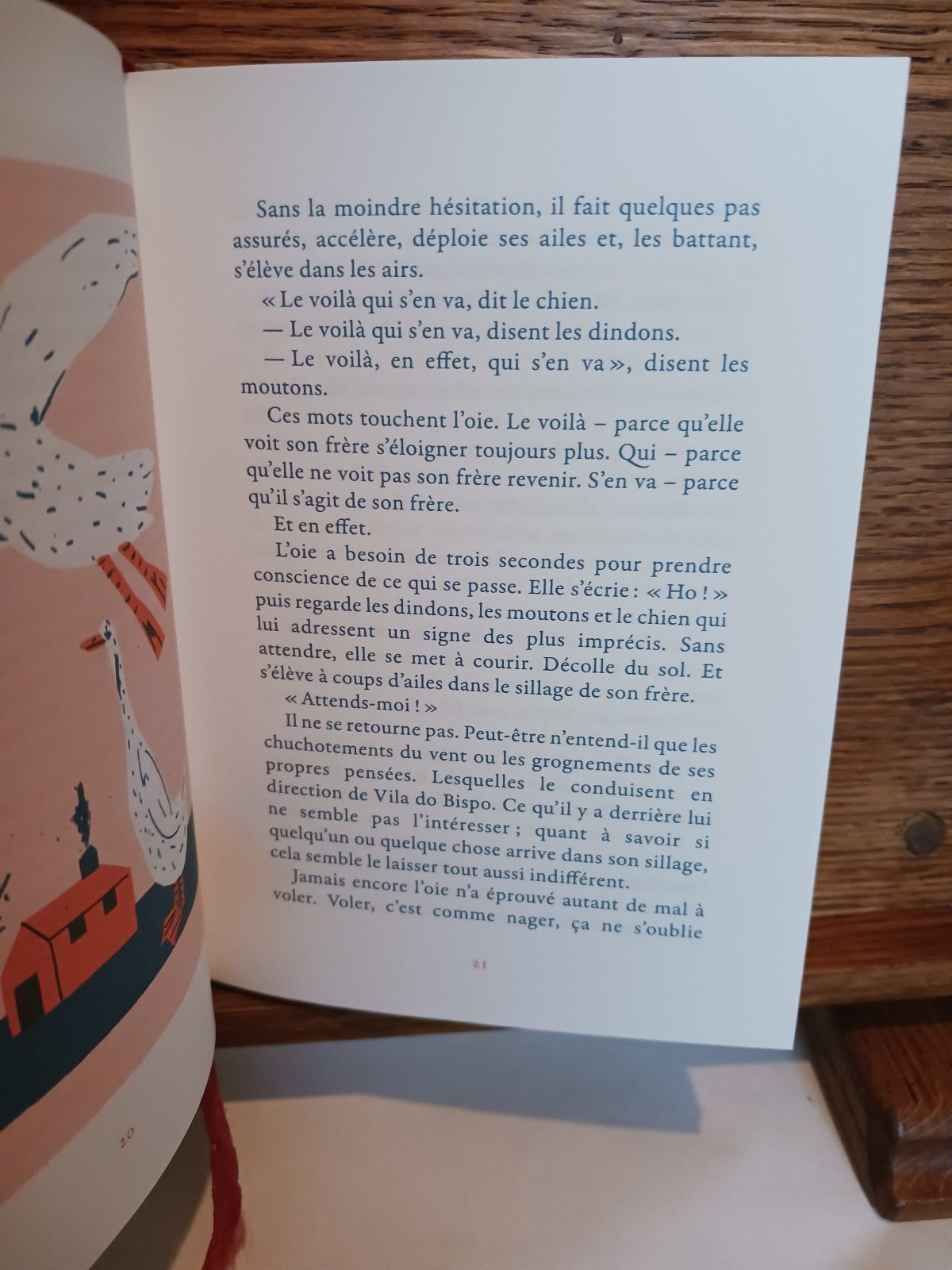 L'oie et son frère – Image 4