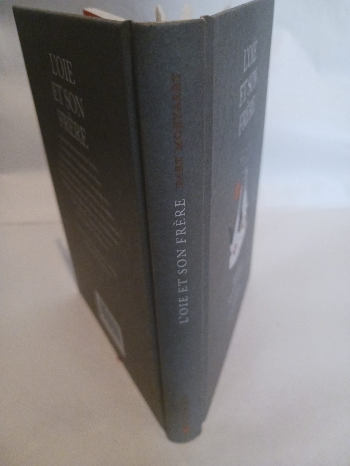 L'oie et son frère – Image 5