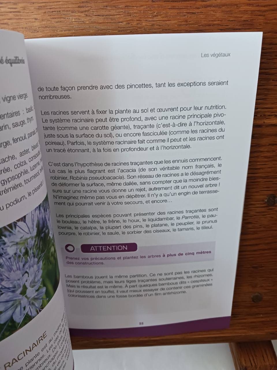 Mon jardin au service d'une biodiversité équilibrée : conception, création, entretien : conseils d'un expert en jardinage écoresponsable – Image 4