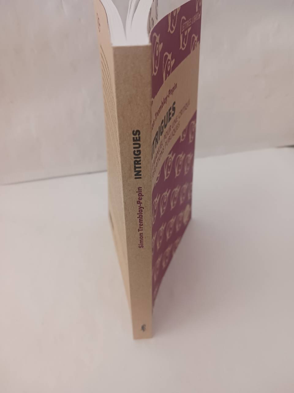 Intrigues : petit manuel pour une critique des relations publiques – Image 5