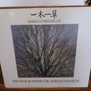 Arbres et brindilles