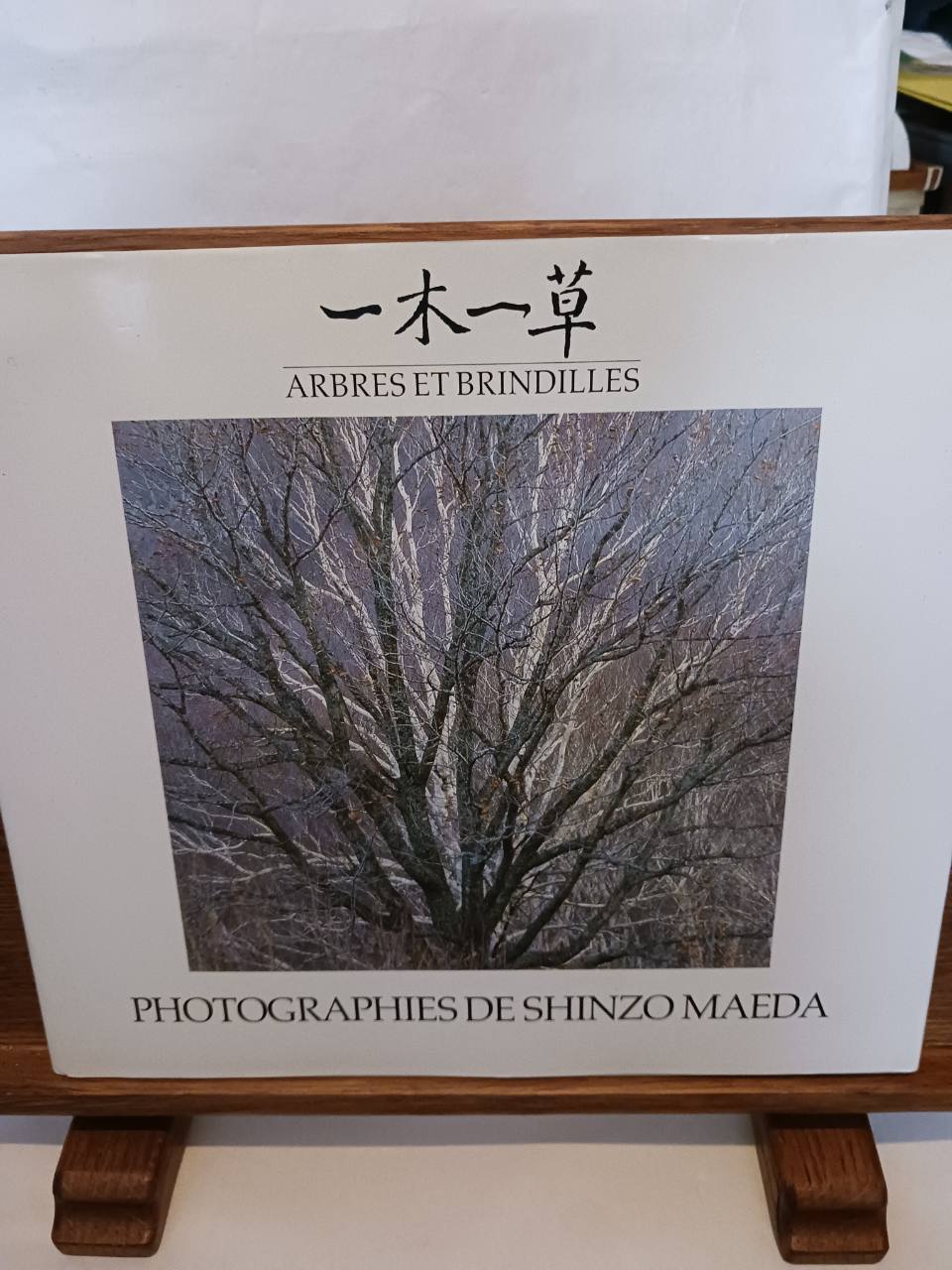 Arbres et brindilles