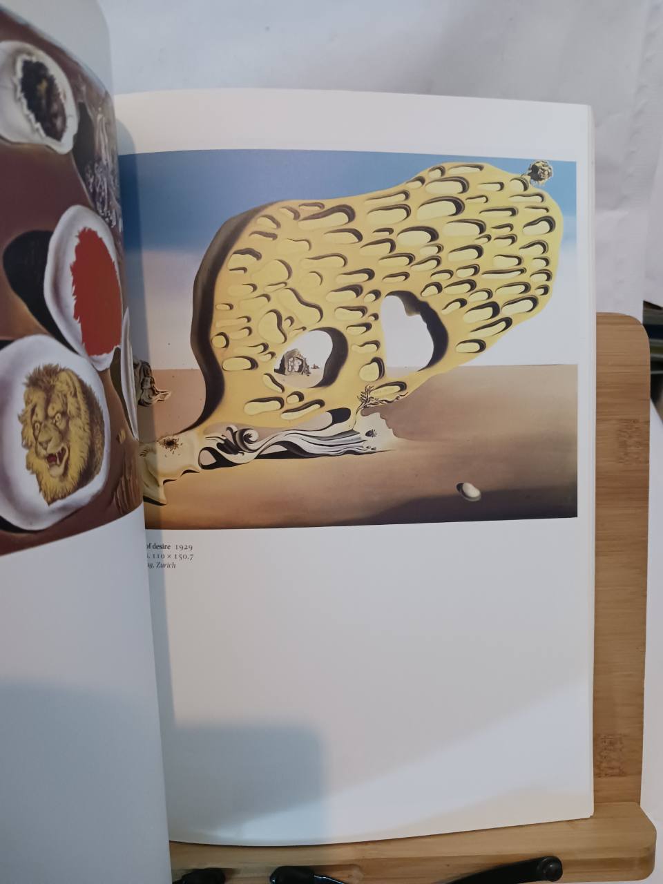Salvador Dali – Image 2