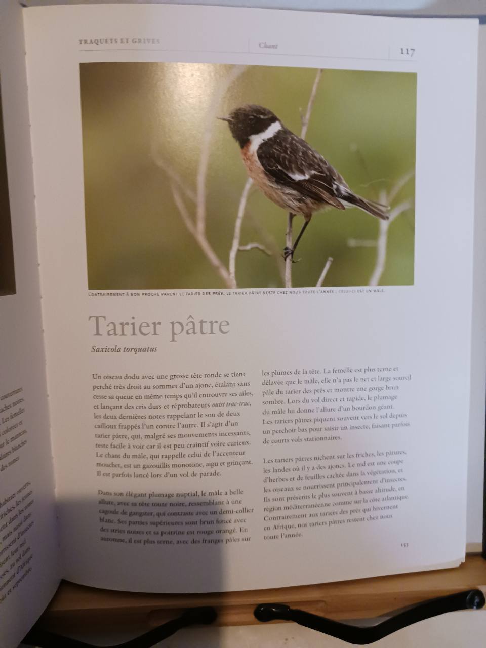 Chants d'oiseaux – Image 3