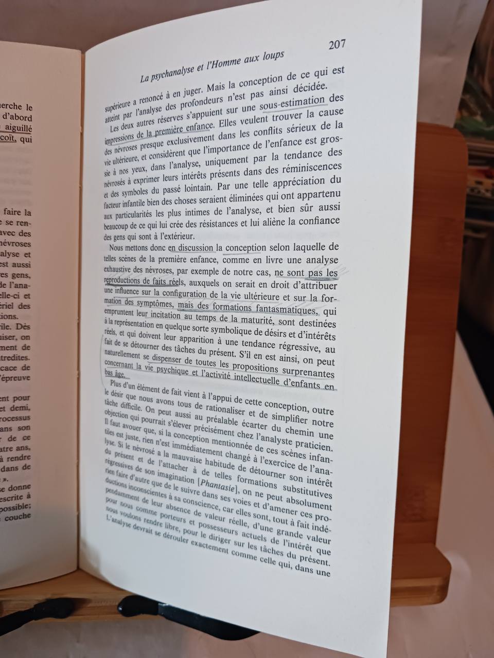 L'homme aux loups par ses psychanalystes et par lui-même – Image 3
