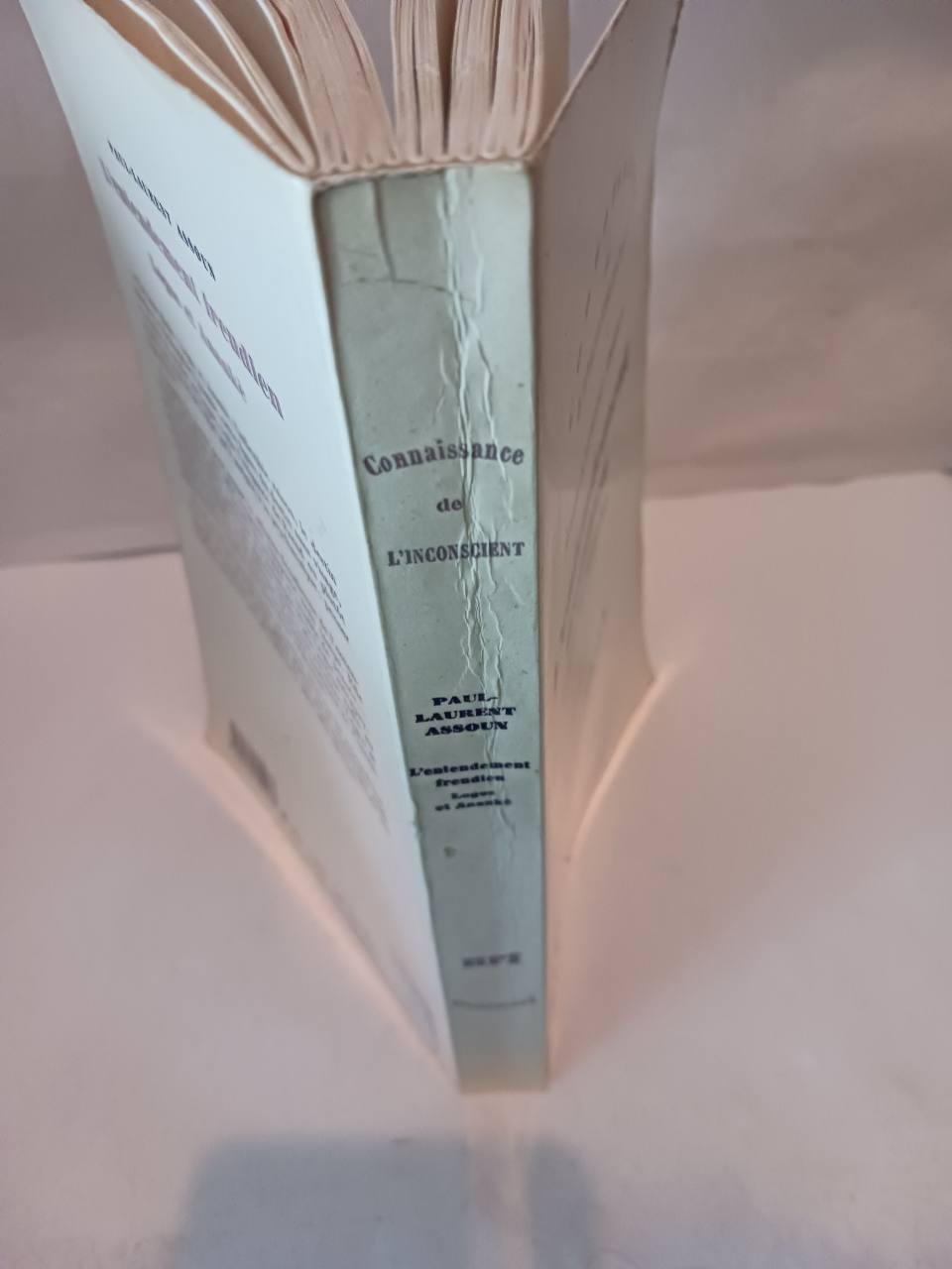 L' entendement freudien – Image 5