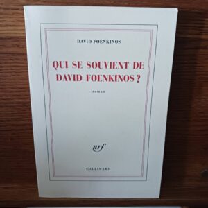 Qui se souvient de David Foenkinos ? : roman