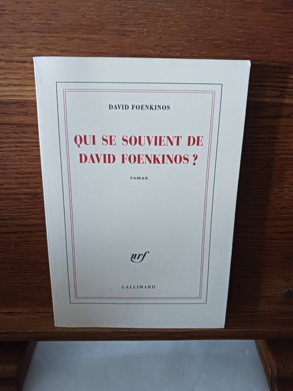 Qui se souvient de David Foenkinos ? : roman