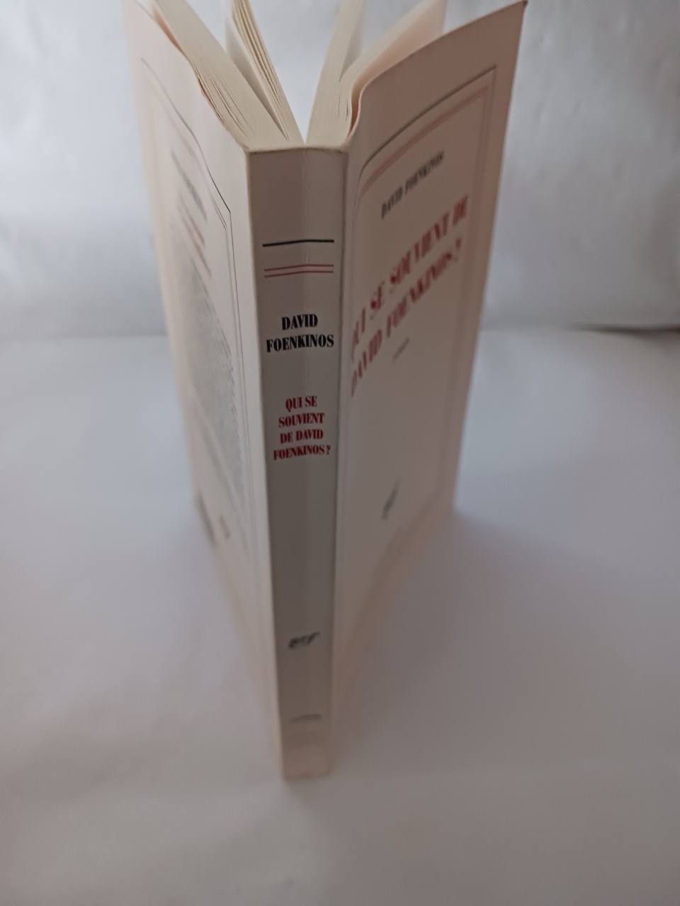 Qui se souvient de David Foenkinos ? : roman – Image 5