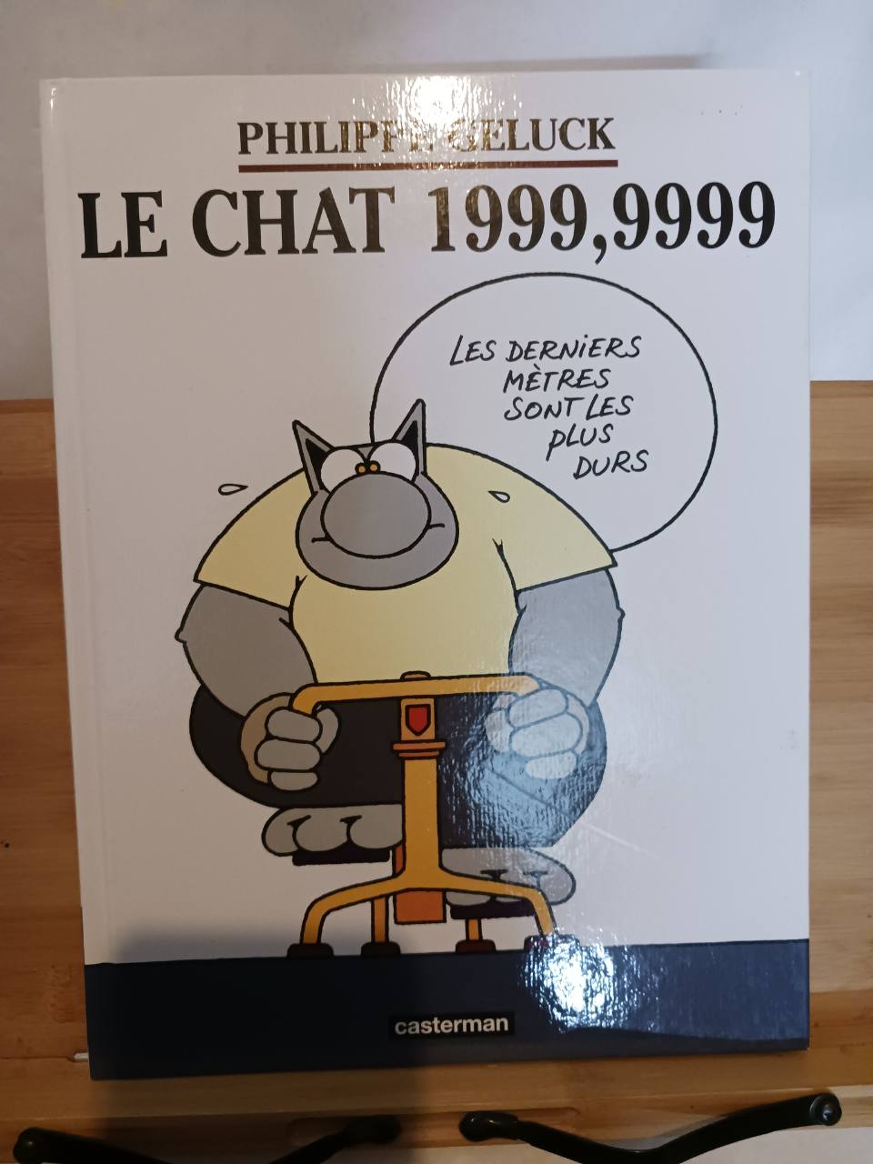 Le Chat, tome 8