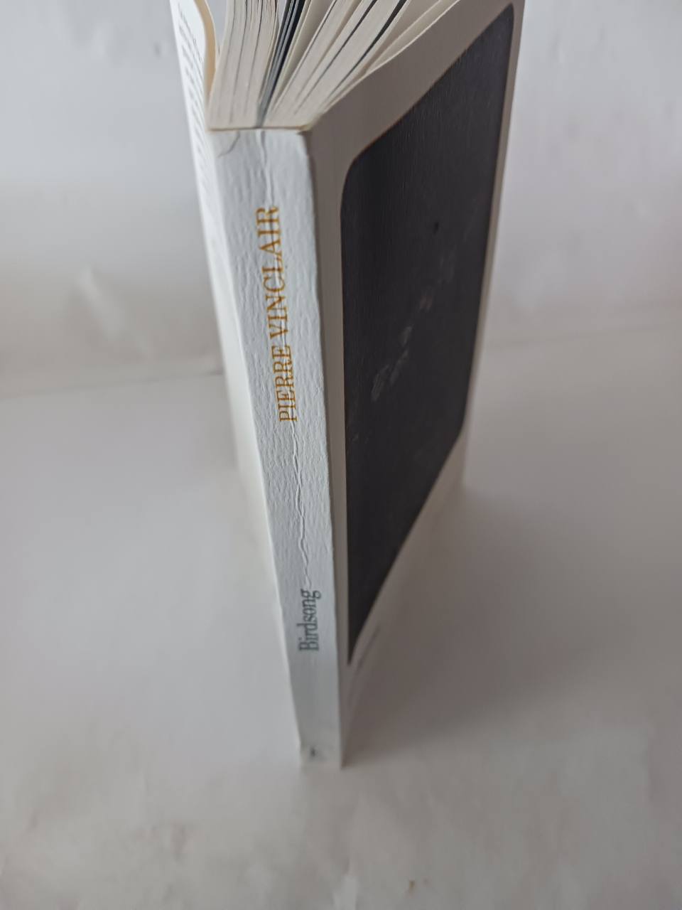 Birdsong – Image 5