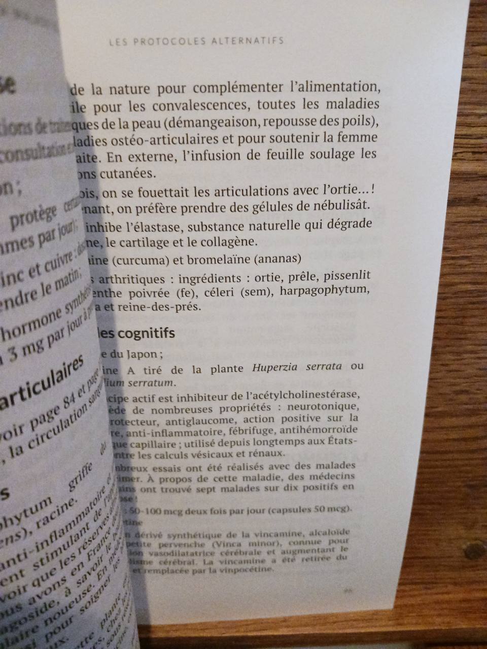 La maladie de Lyme – Image 3