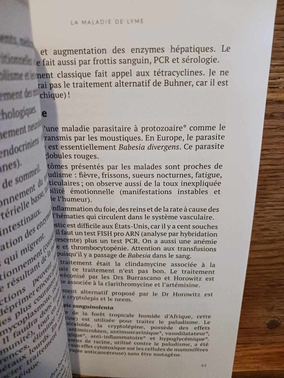 La maladie de Lyme – Image 4