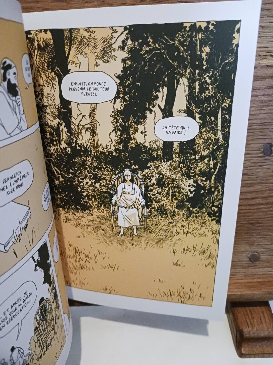Ma soeur est folle (Première édition) Iris Biasio ; traduit de l'italien par Aude Lamy – Image 3