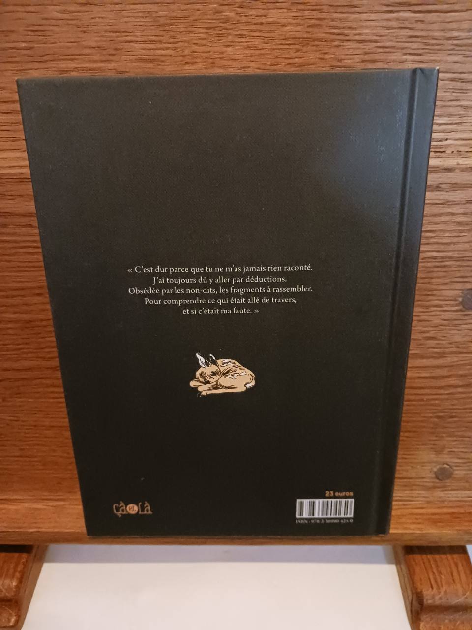 Ma soeur est folle (Première édition) Iris Biasio ; traduit de l'italien par Aude Lamy – Image 4