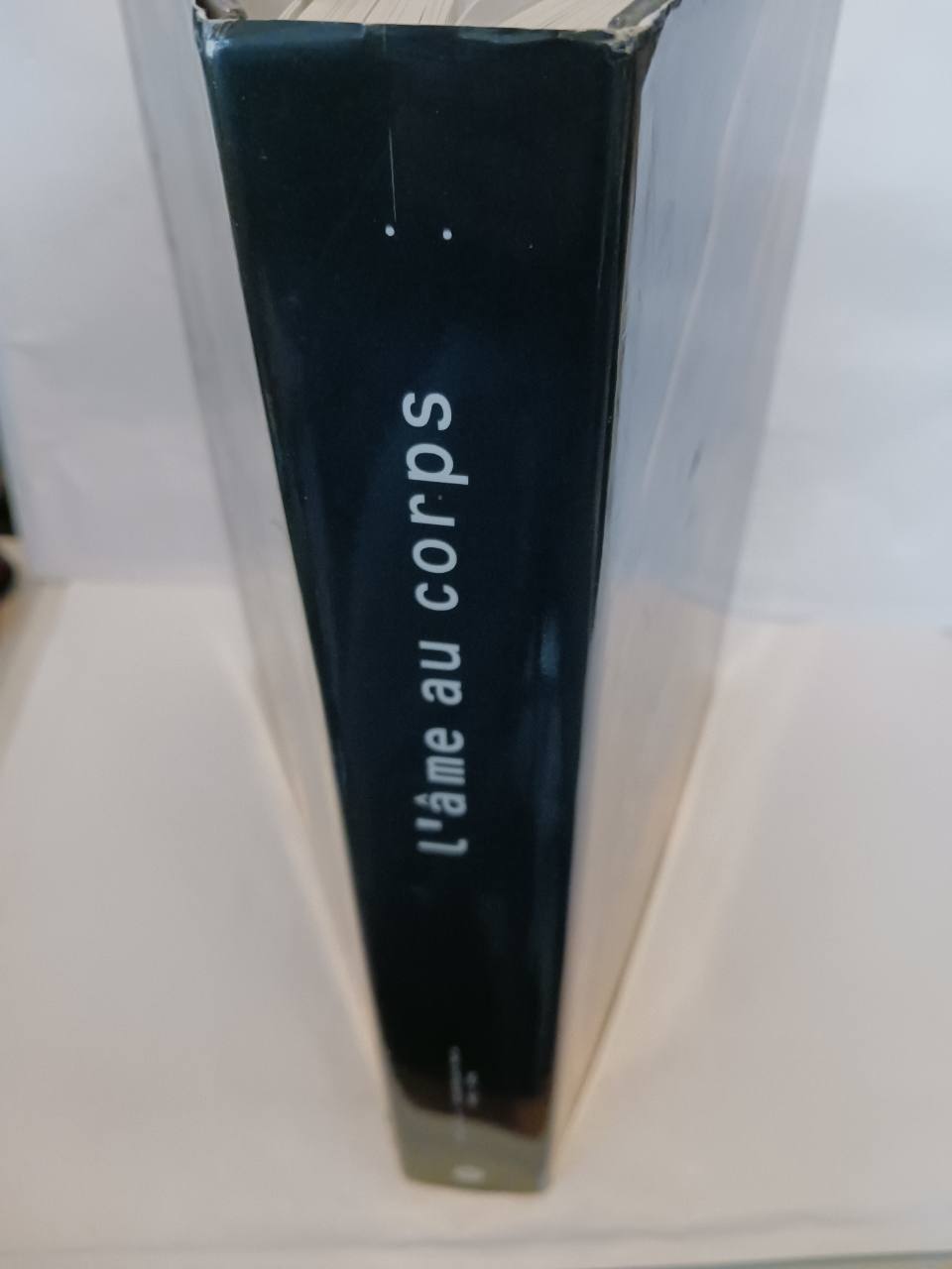 L'âme au corps – Image 5