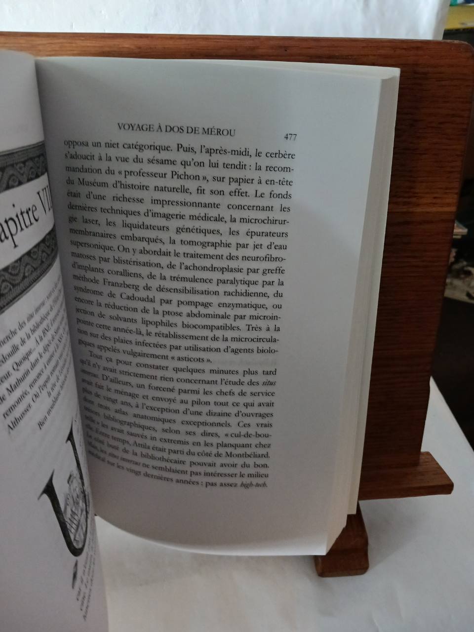 Voyage à dos de mérou – Image 4
