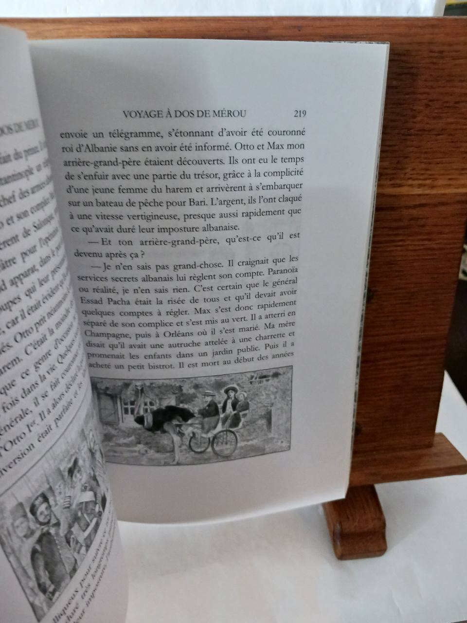 Voyage à dos de mérou – Image 5