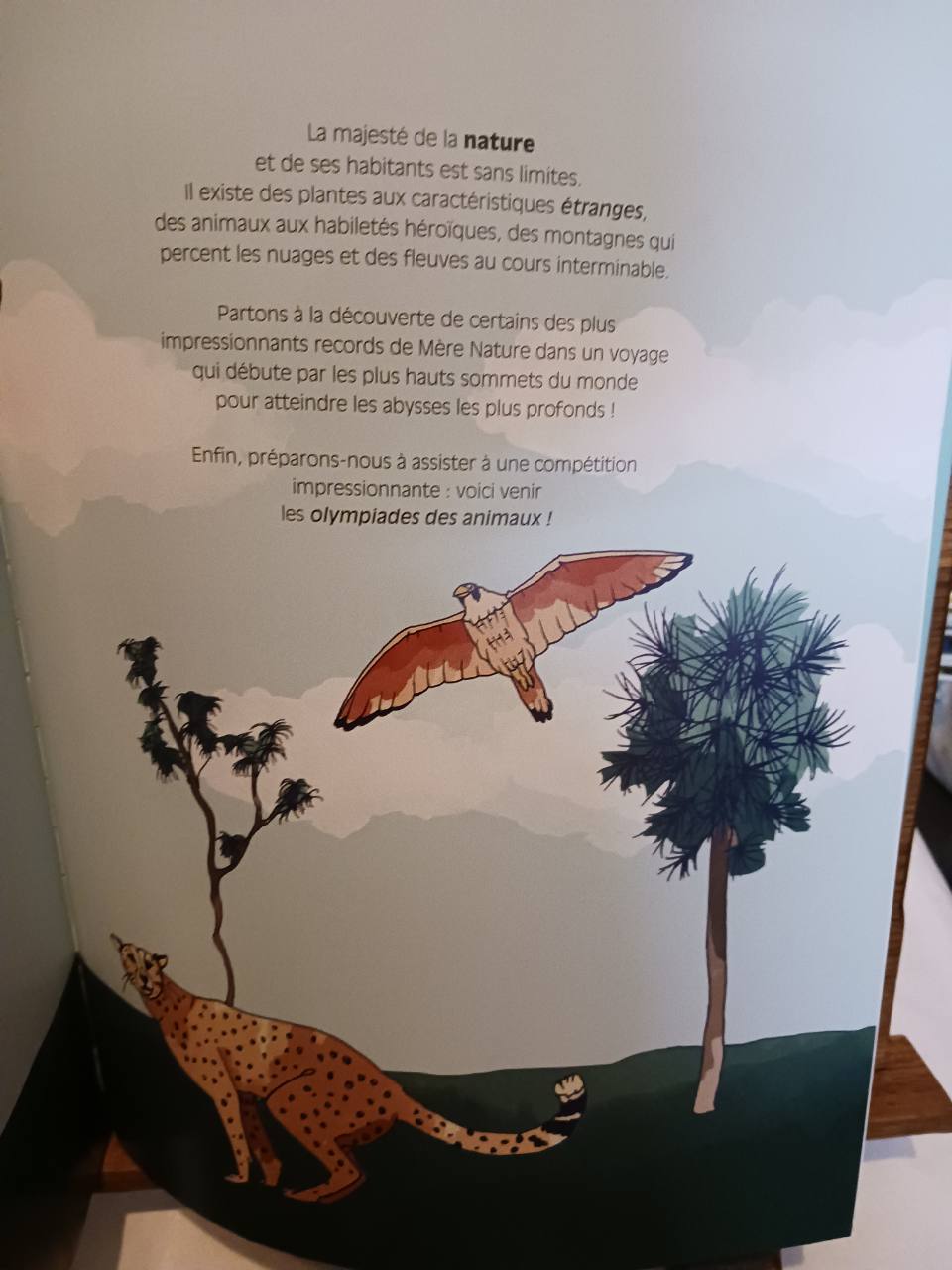 Planète Terre - Planches infographiques pour découvrir notre monde – Image 3