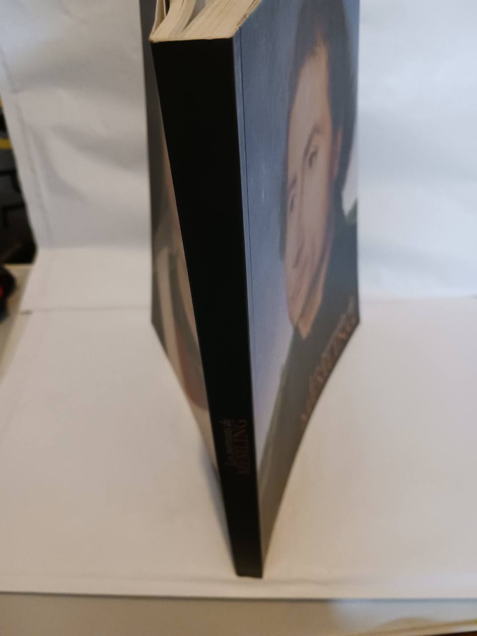 Les portraits de Memling – Image 5
