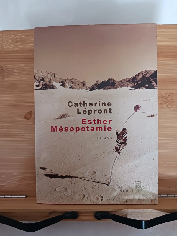 Esther Mésopotamie - 9782020863773 Catherine Lépront