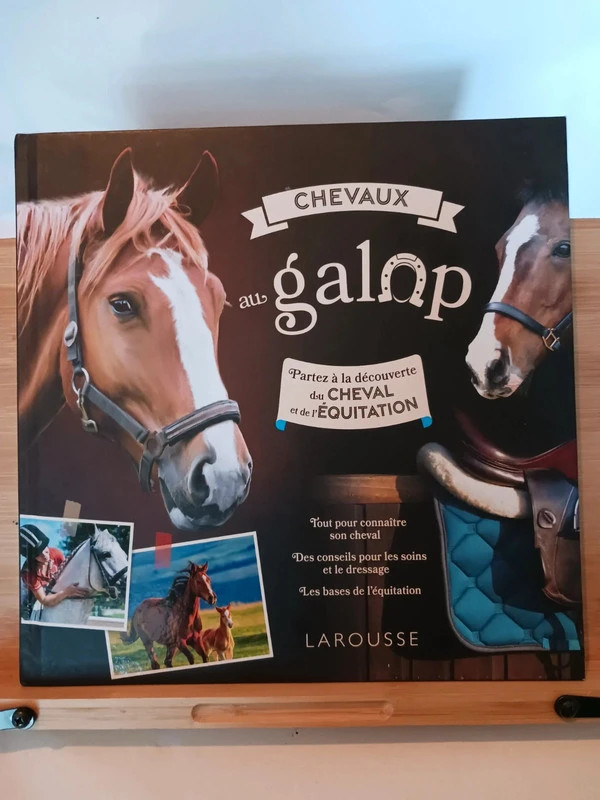 Chevaux au galop - 9782036005136 Larousse