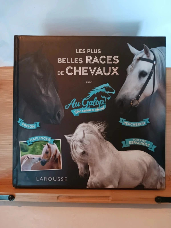 Les Plus Belles Races De Chevaux - Avec Au Galop ! Une Saiso