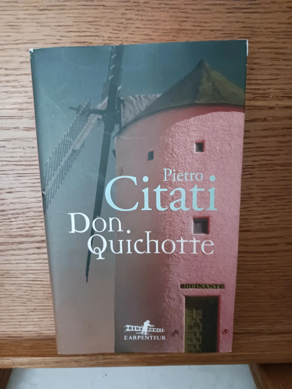 Don Quichotte - 9782070116188 Pietro Citati